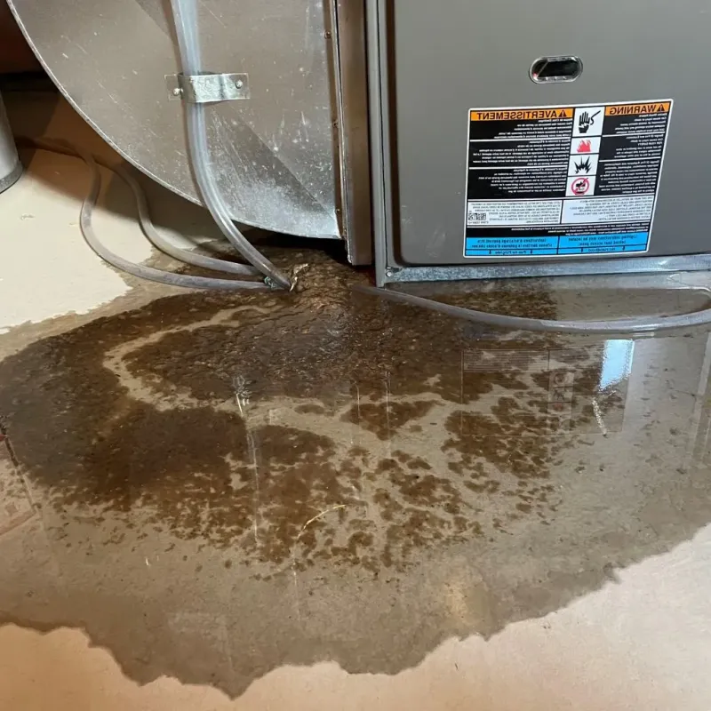 Pipe Burst and Leak Restoration in Forreston, IL