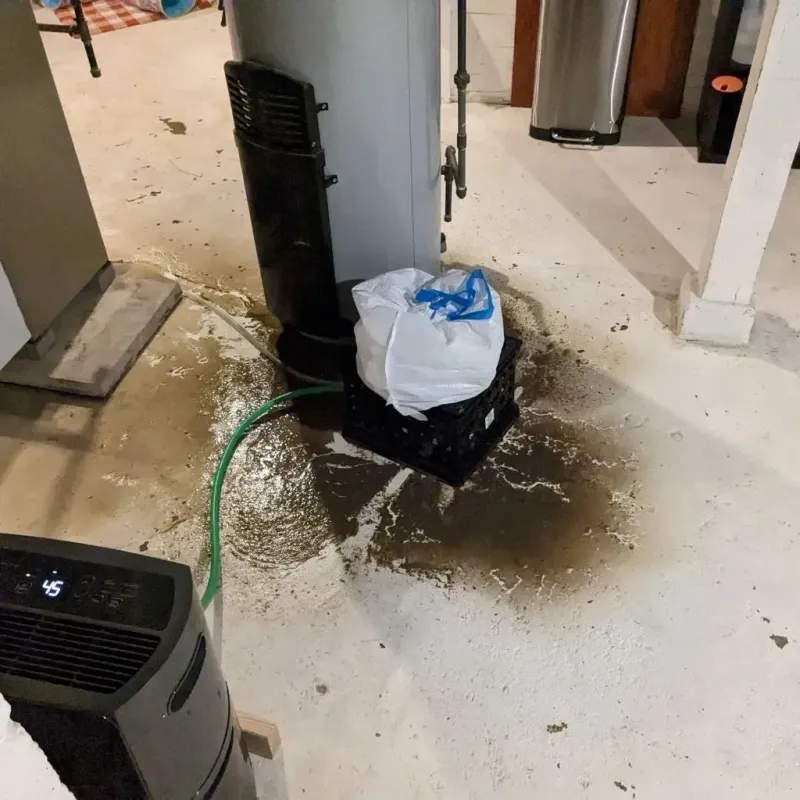 Sewage Backup Cleanup Service in Forreston, IL